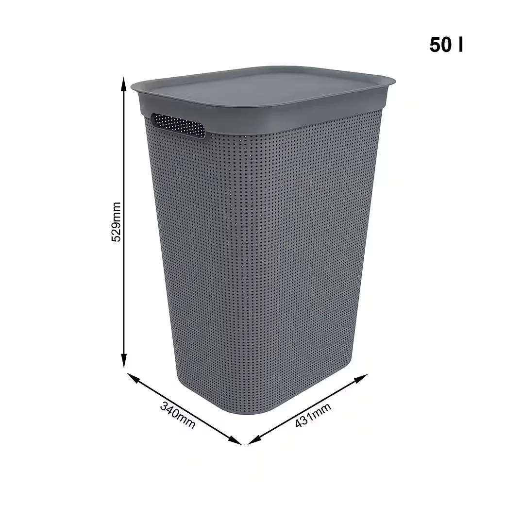 ROTHO Brisen Wäschekorb 50 l Wäschebox mit Deckel und Griffen