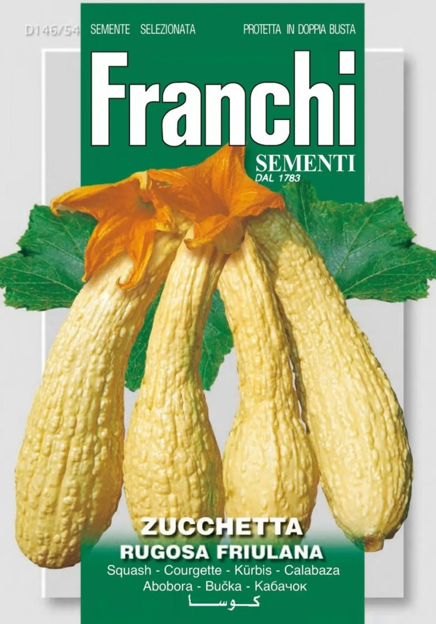Kürbissamen „Rugosa Friulana“